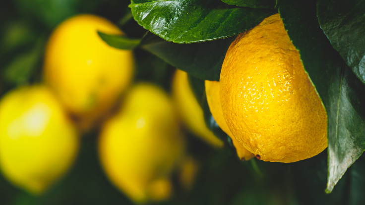 What is Citron?